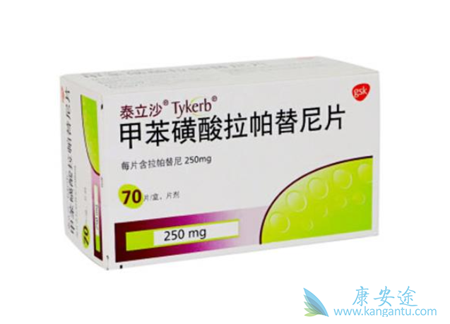 拉帕替尼 拉帕替尼