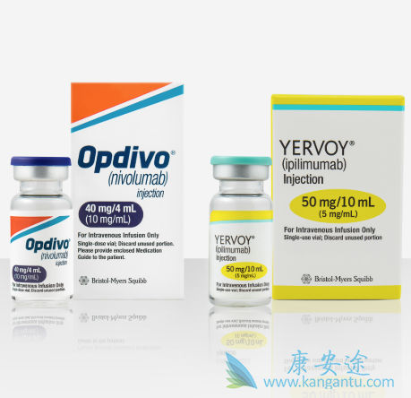 免疫检查点抑制剂治疗 免疫检查点抑制剂治疗