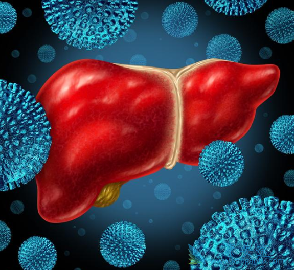 丙型肝炎治疗用什么药物 丙型肝炎治疗用什么药物