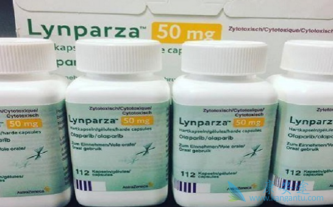 奥拉帕尼治疗小细胞肺癌 奥拉帕尼治疗小细胞肺癌