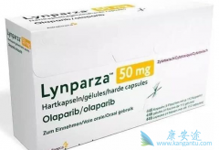 ��������۸���٣�������Ƚϱ��ˣ�