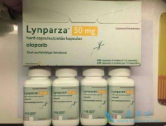 ���ĸ��汾�İ�������۸���㣿