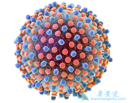 丙肝传播途径 丙肝传播途径