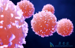 ��֢���Ŵ���