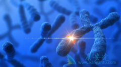 �ΰ�����EGFR����ͻ������Щ����ҩ�����ʹ�ã�