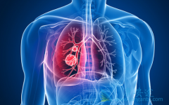 �ΰ����ڻ��о�������Щ���Ʒ�����