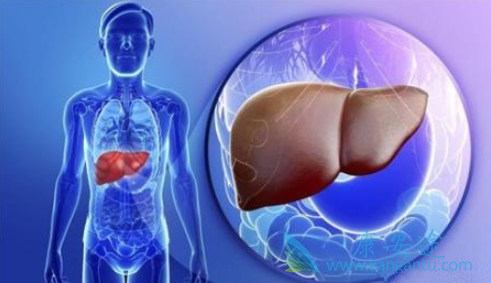 肝功能异常 肝功能异常