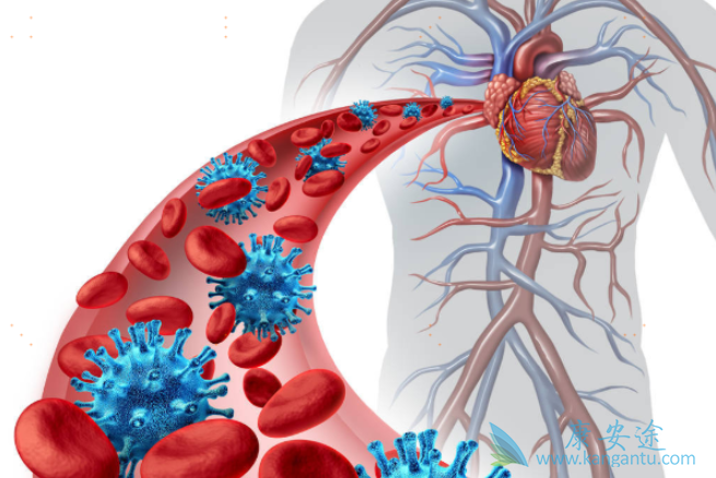 预防丙肝病毒感染 预防丙肝病毒感染