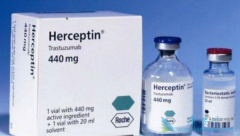 �����鵥����������HER2�������ٰ�Ч����Σ�