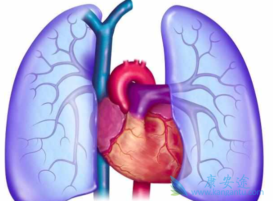肺纤维化生存期 肺纤维化生存期