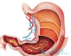 �ͷֻ��ٰ�θ����ʲô֢״����