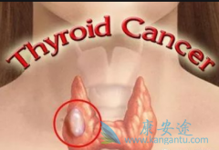 ��״����������ʲô�������Ҫ�����������ƣ�