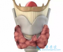 ��״�������ķ���������ʲô��