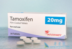 ��Ī�����ܽ������ٰ����ߵ�ת�Ʒ�����