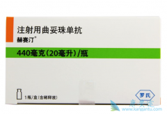 �����鵥��(trastuzumab)��ͣҩԭ��