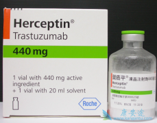 ���̺���͡(trastuzumab)�Ƴ̿����Խ������඾�Է���