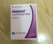 �����������ϴ�ͷ����������BRaf V600Eͻ���״�ٰ�������Ч����