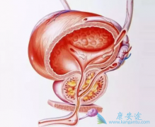 ǰ���ٰ���ת�ƻ��߸���ν������ƣ�