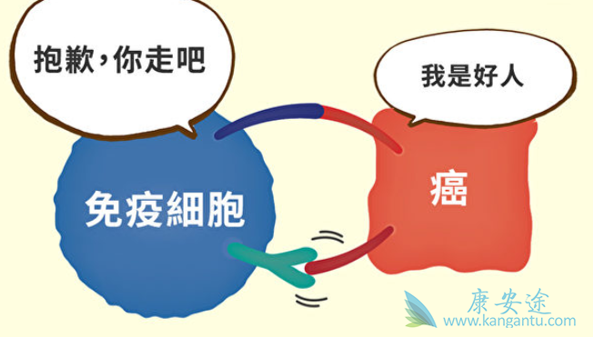 细胞免疫疗法 细胞免疫疗法