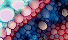 ���ǶȰ��͵������ɷ����м����������׿��ӳ����谩��������