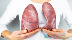 �뼪��������ȴ����������EGFR��Сϸ���ΰ����ߵ������ڸ���