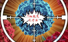 ��Ż������ϸ�������Ʒ���������������Щ���ƣ�