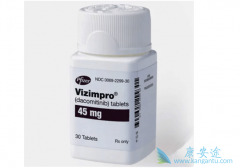 �������(VIZIMPRO)��ز�����Ӧ�Ĵ�������