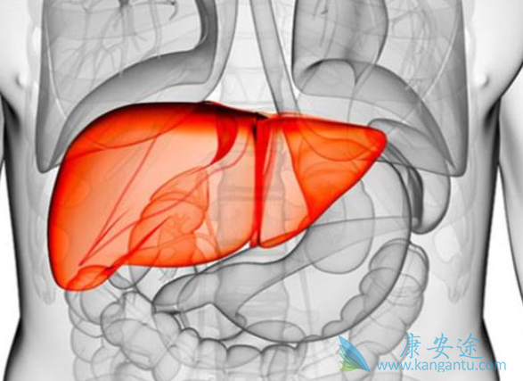 丙肝抗体阳性 丙肝抗体阳性