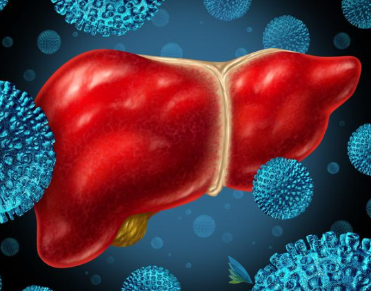 丙肝最佳治疗方案 丙肝最佳治疗方案