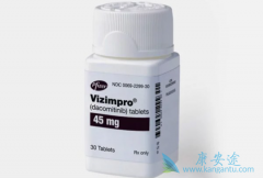 һ�д������(Vizimpro)���ԳԶ�ã�