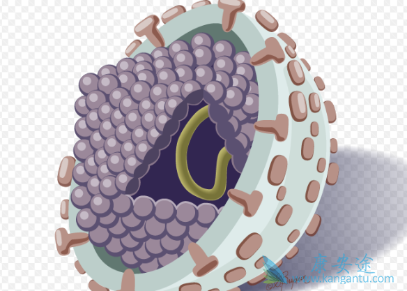 丙型肝炎 丙型肝炎