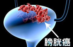 ���װ�������֢״��Ҫ���������