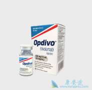 ���߼������Ƽ��������Ƶ�Ч����ô����