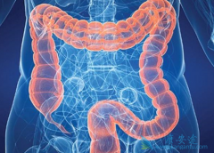 ���������������ڽ�ֱ����������