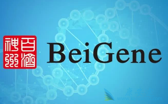 泽布替尼 泽布替尼