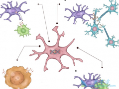 ϸ�����ӷ籩���κ���