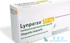 PARP���Ƽ����������ѱ��������ٰ�����ָ��