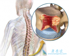 �෢�Թ��������Ʒ��������ѡ��