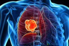 �������������δﲬ���Ʒ��۰������Ը���