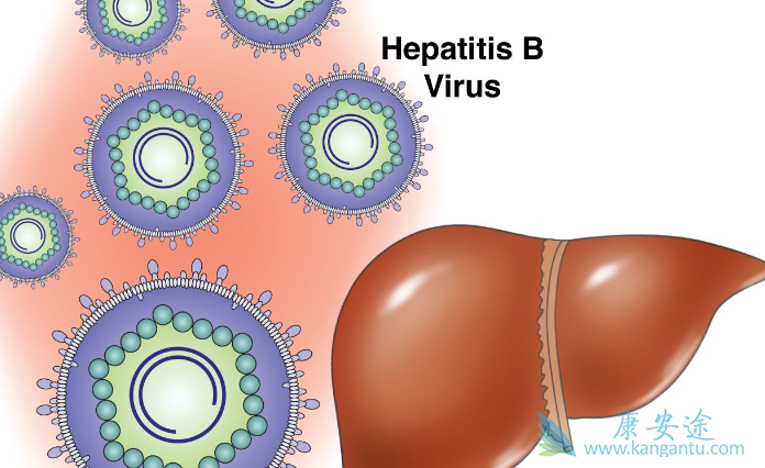 乙肝大三阳能治愈吗 乙肝大三阳能治愈吗