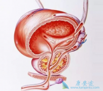 PARP���Ƽ�������������ǰ���ٰ����ƾ���������Ч