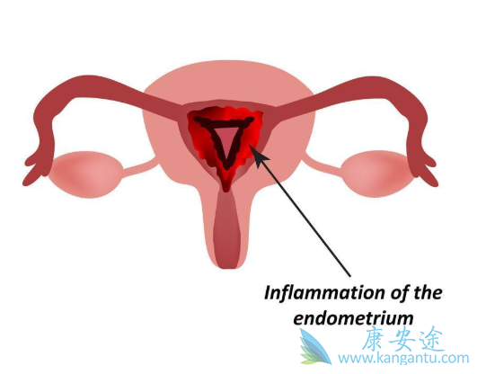 1567577978188608.png image.png