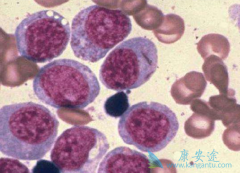 ������ܰ������κ�����ô�Σ�