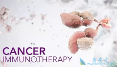 ʲô�������Ʒ����뻯����ʲô��ͬ��