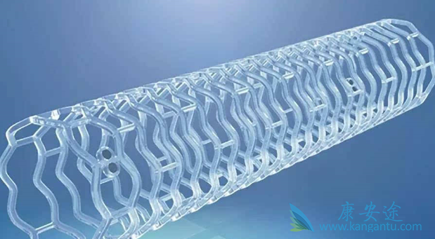 生物可降解支架 生物可降解支架