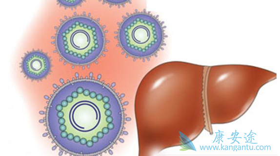 丙肝病毒 丙肝病毒