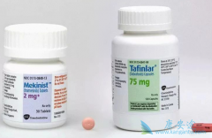 ������������������Ժ�ɫ��������Ч�������ģ�