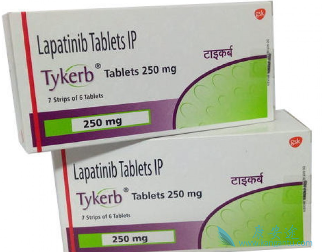 拉帕替尼 拉帕替尼