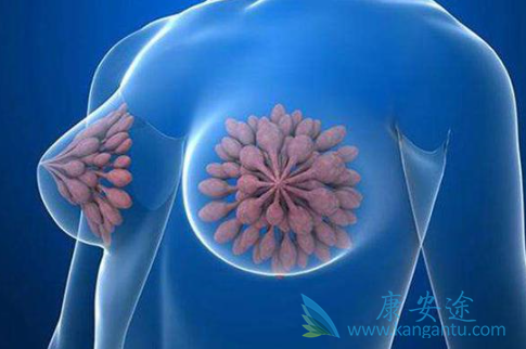 乳腺癌治疗 乳腺癌治疗