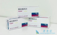 �ѳ����԰�������(Olaparib)�Ļ��������